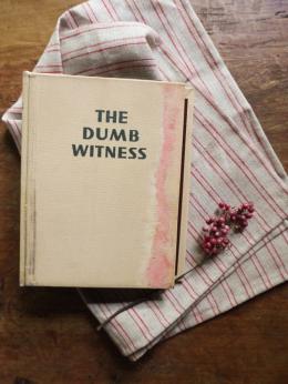 ブック型　アルバム　‵The dump witness‘